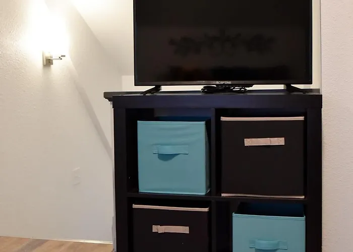 Unwind In A Bright Comfortable For 3 Apartment *